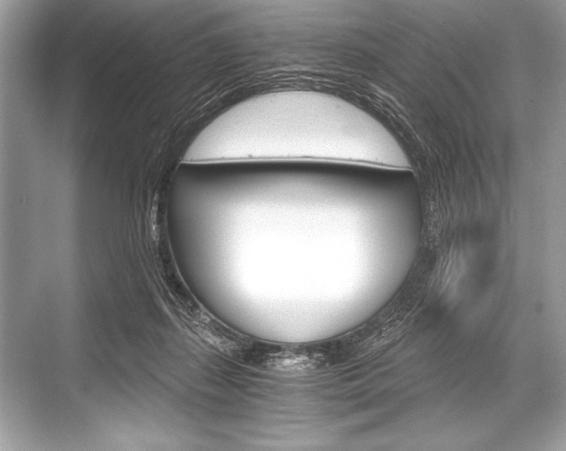 X0000068810267200605050924