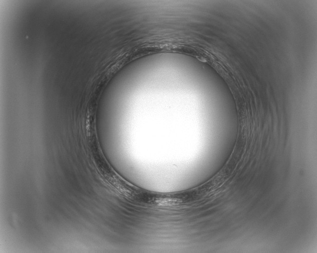 X0000068810268200605050924