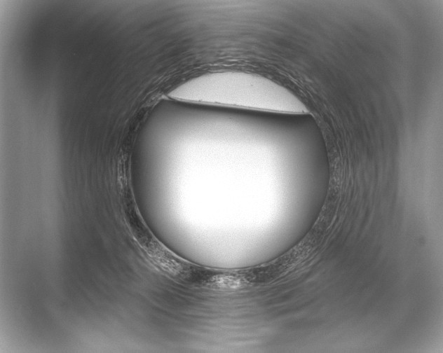 X0000068810272200605050924