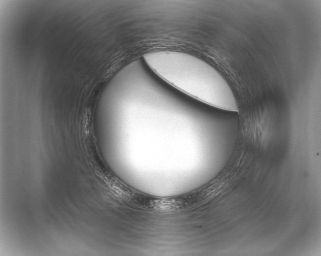 X0000068810273200605050924