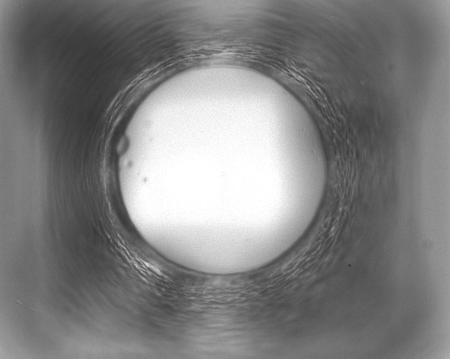 X0000068810290200605050924