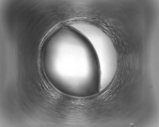 X0000068810293200605050923