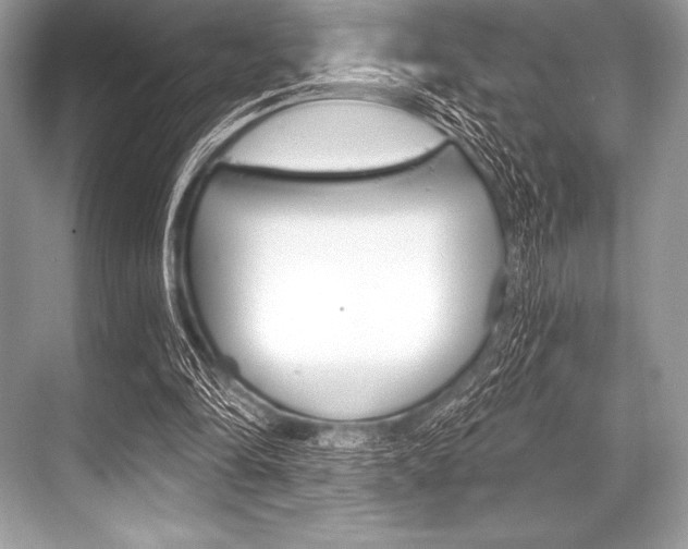 X0000068810294200605050923