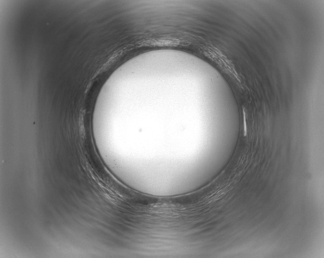 X0000068810300200605050923