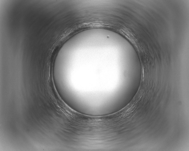 X0000068810301200605050923