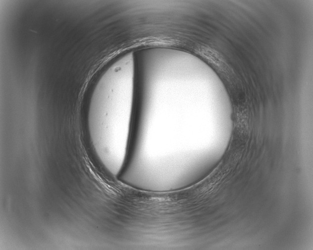 X0000068810302200605050923