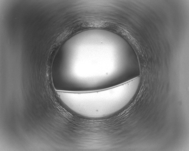 X0000068810305200605050923