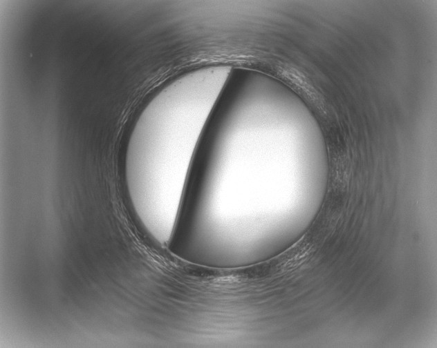 X0000068810309200605050923