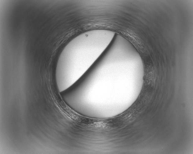 X0000068810310200605050923