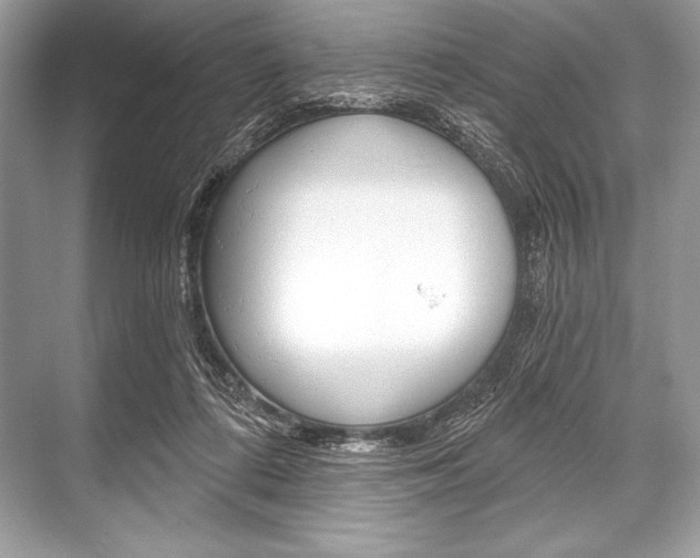 X0000068810312200605050923