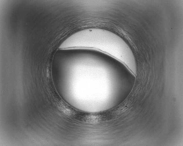 X0000068810313200605050923