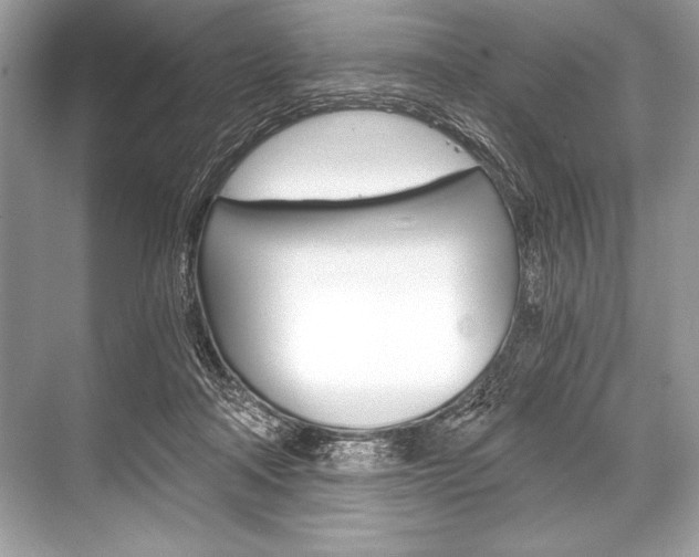 X0000068810314200605050923