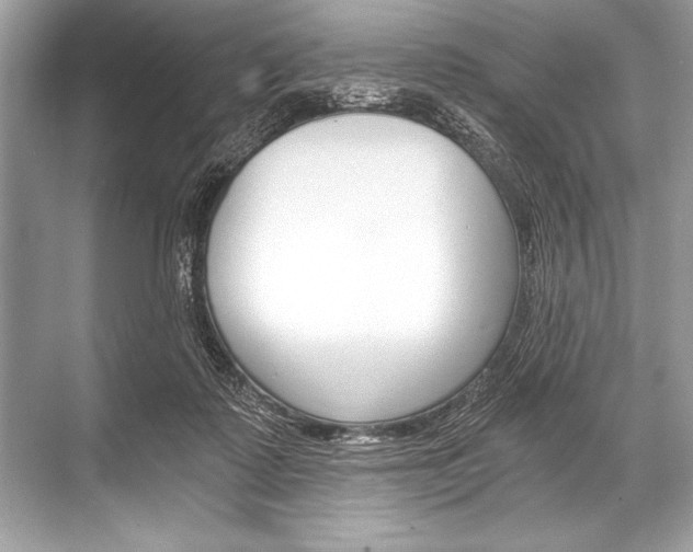 X0000068810315200605050923