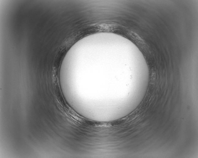 X0000068810318200605050923
