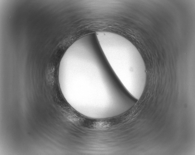 X0000068810319200605050923