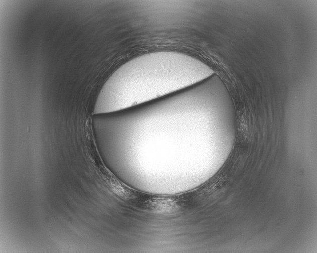 X0000068810322200605050923