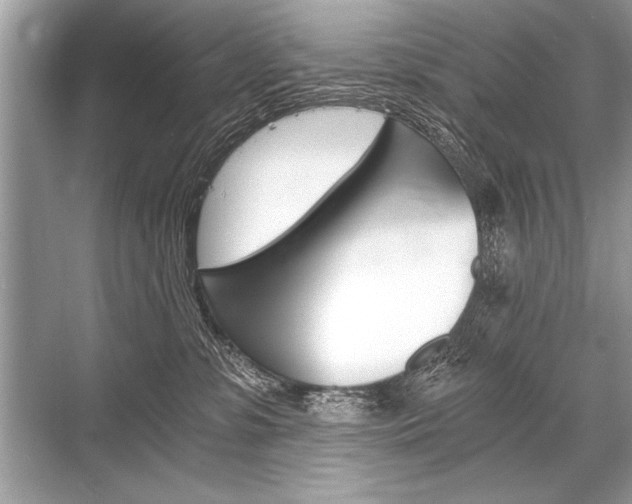X0000068810331200605050923
