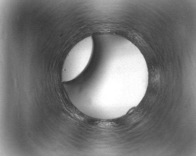 X0000068810332200605050923