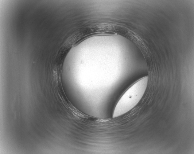 X0000068810333200605050923
