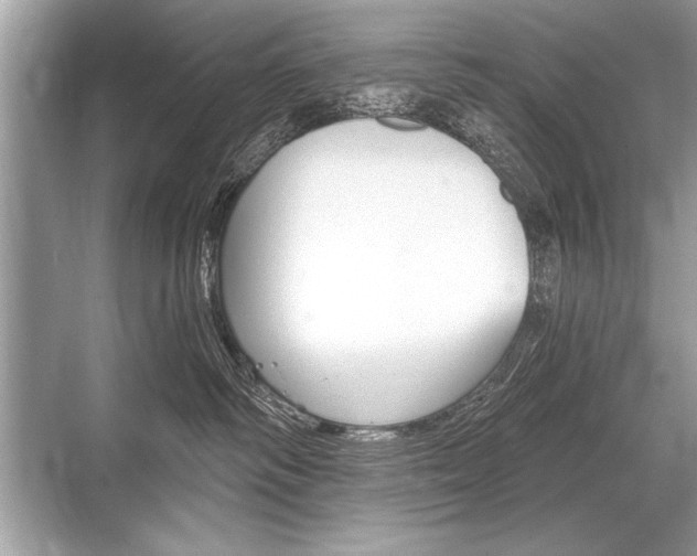 X0000068810334200605050923