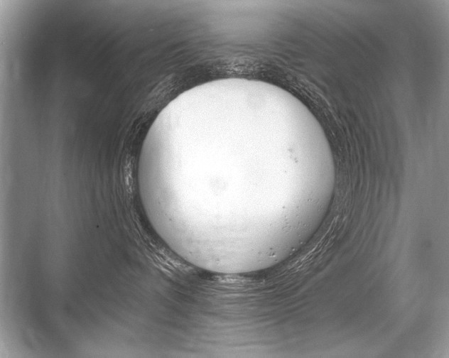 X0000068810336200605050923