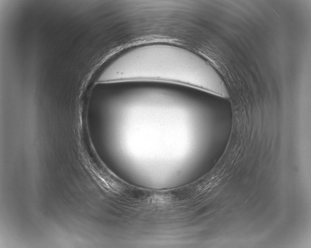 X0000068810350200605050922