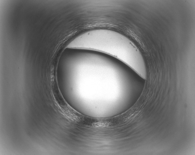 X0000068810356200605050922