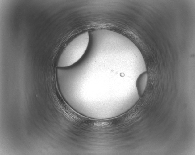 X0000068810357200605050922