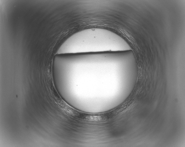 X0000068810361200605050922