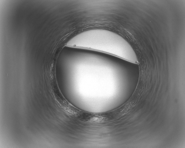 X0000068810364200605050922