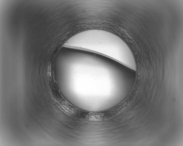 X0000068810368200605050922