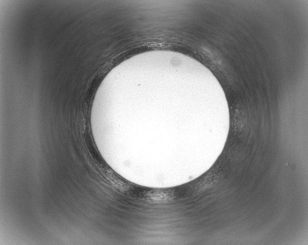 X0000068810370200605050923