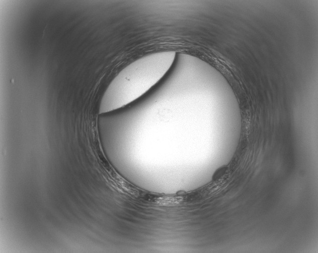 X0000068810373200605050923
