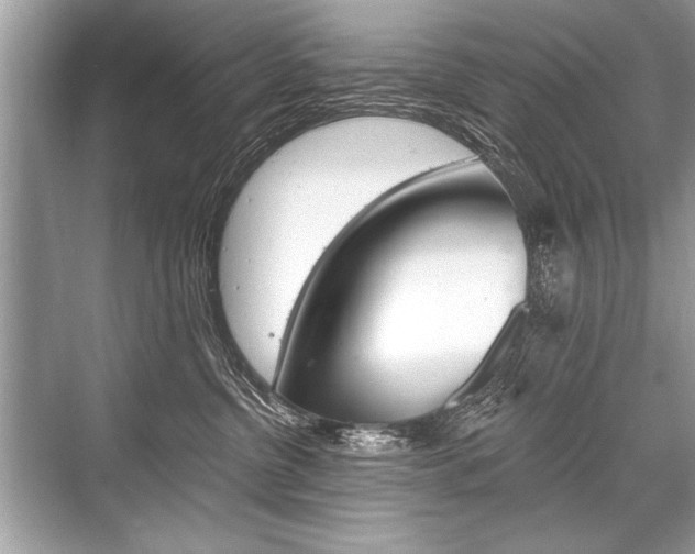 X0000068810380200605050923