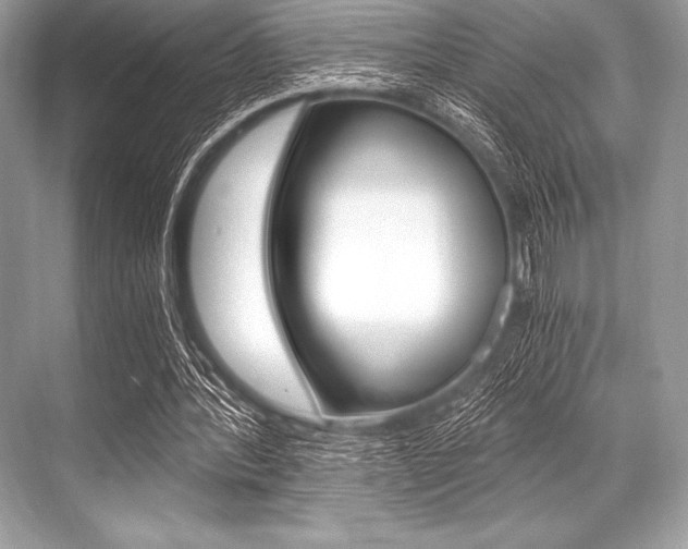 X0000068810388200605050922