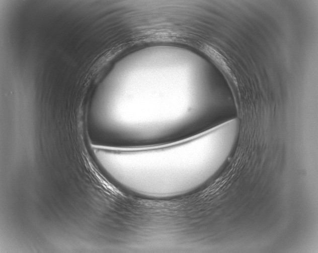 X0000068810389200605050922