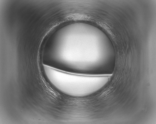 X0000068810391200605050922