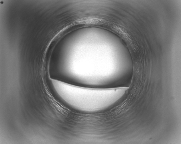 X0000068810392200605050922