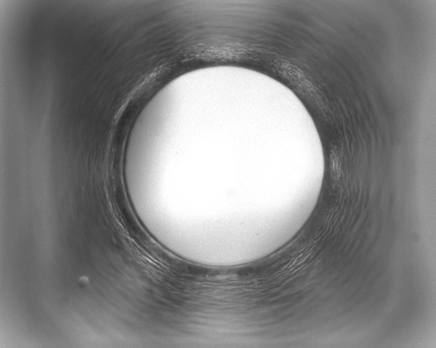 X0000068810396200605050922