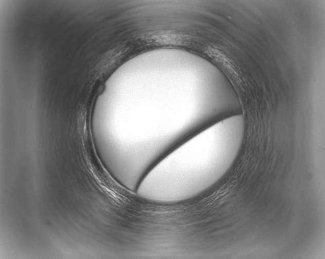 X0000068810398200605050922