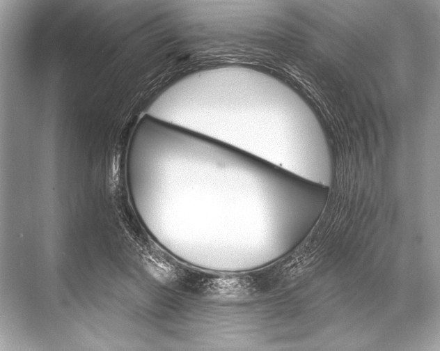 X0000068810406200605050922