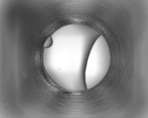 X0000068810410200605050922