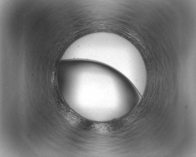 X0000068810417200605050921