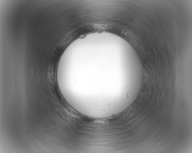 X0000068810418200605050921