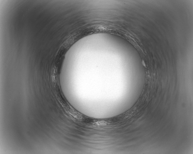 X0000068810423200605050921