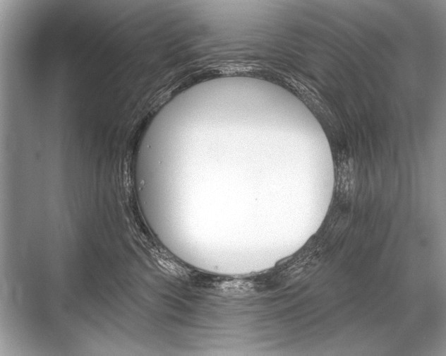 X0000068810426200605050921