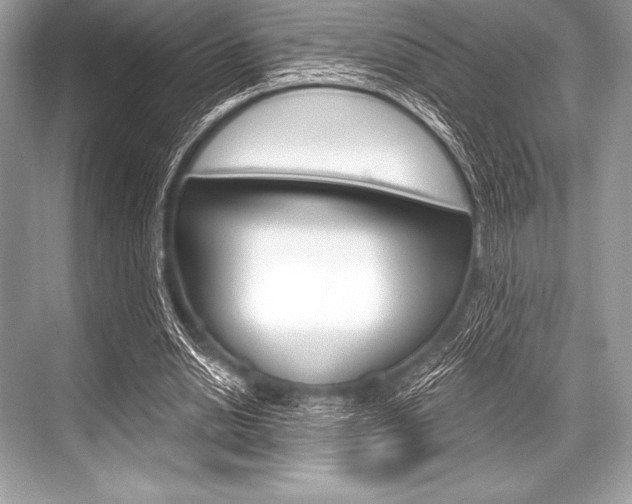 X0000068810438200605050920