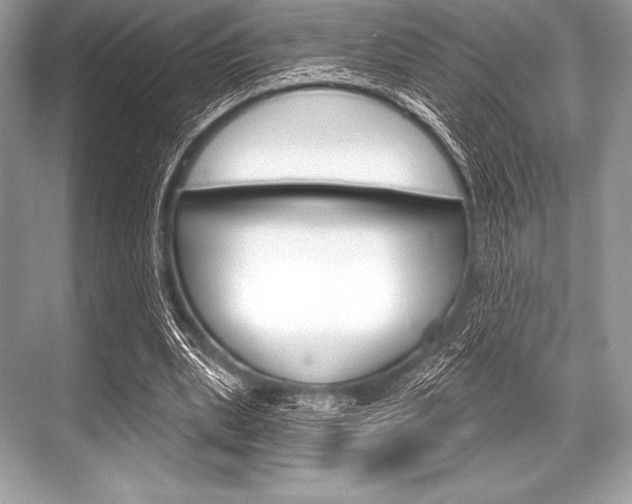 X0000068810439200605050920