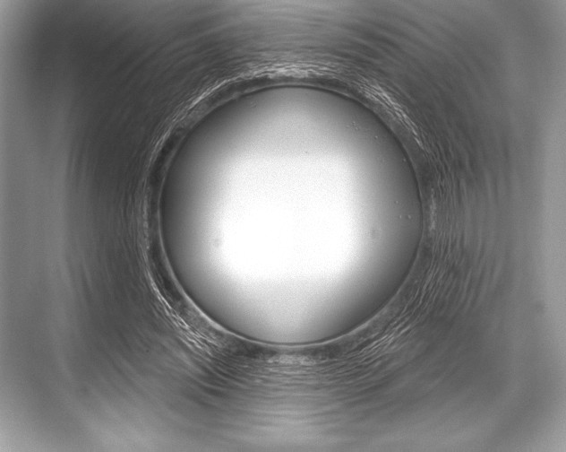 X0000068810444200605050921
