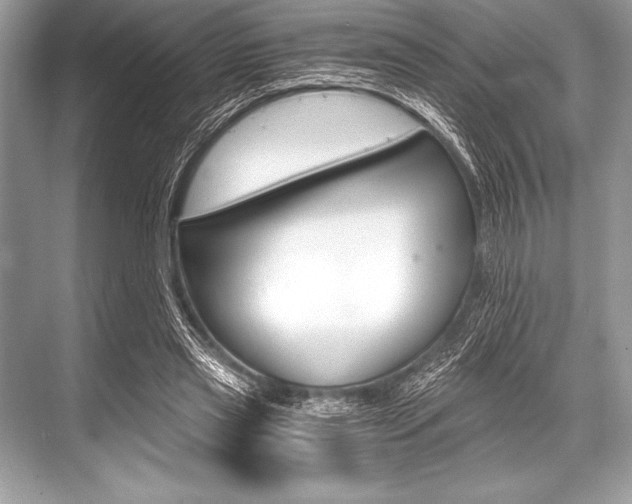 X0000068810445200605050921